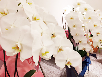 ナガサキ屋フラワーアレンジメントイメージ4